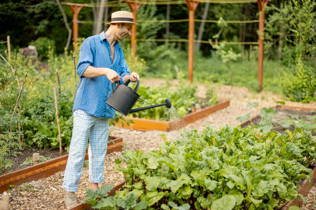 Man watering vegetables at home garden