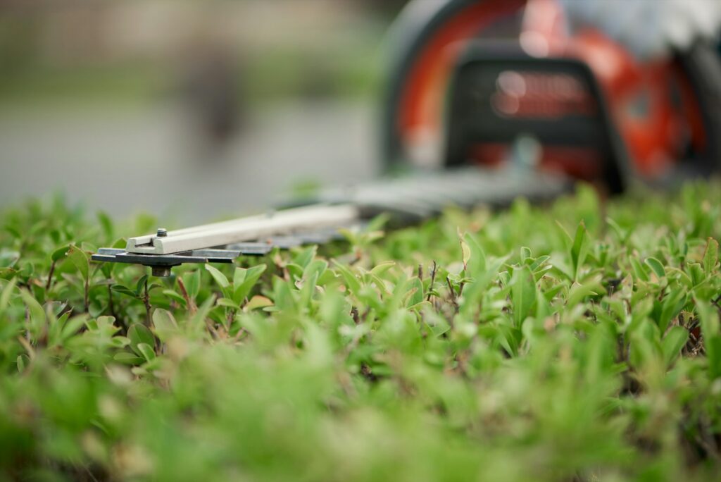 Selective focus of trimming machine and bushes